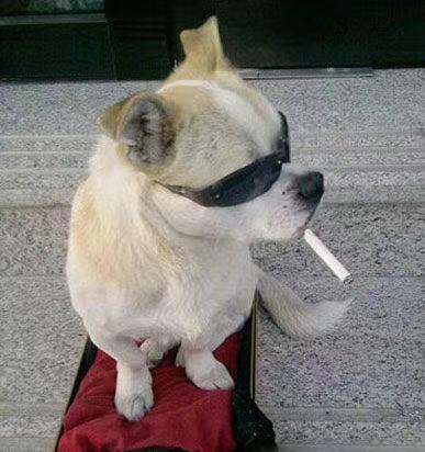 艳儿逗你笑老婆来家里找我结果侄子朝我喊舅舅你的白菜来了