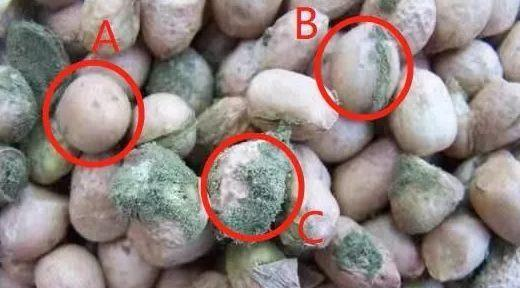 go还能不能吃了?|保质期|猫粮|黄曲霉素_新浪新闻