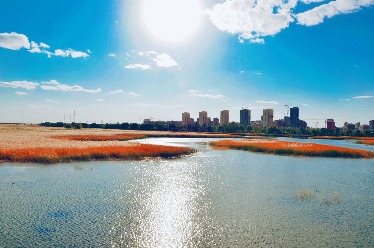 通辽市西辽河大桥及桥下风光原创摄影