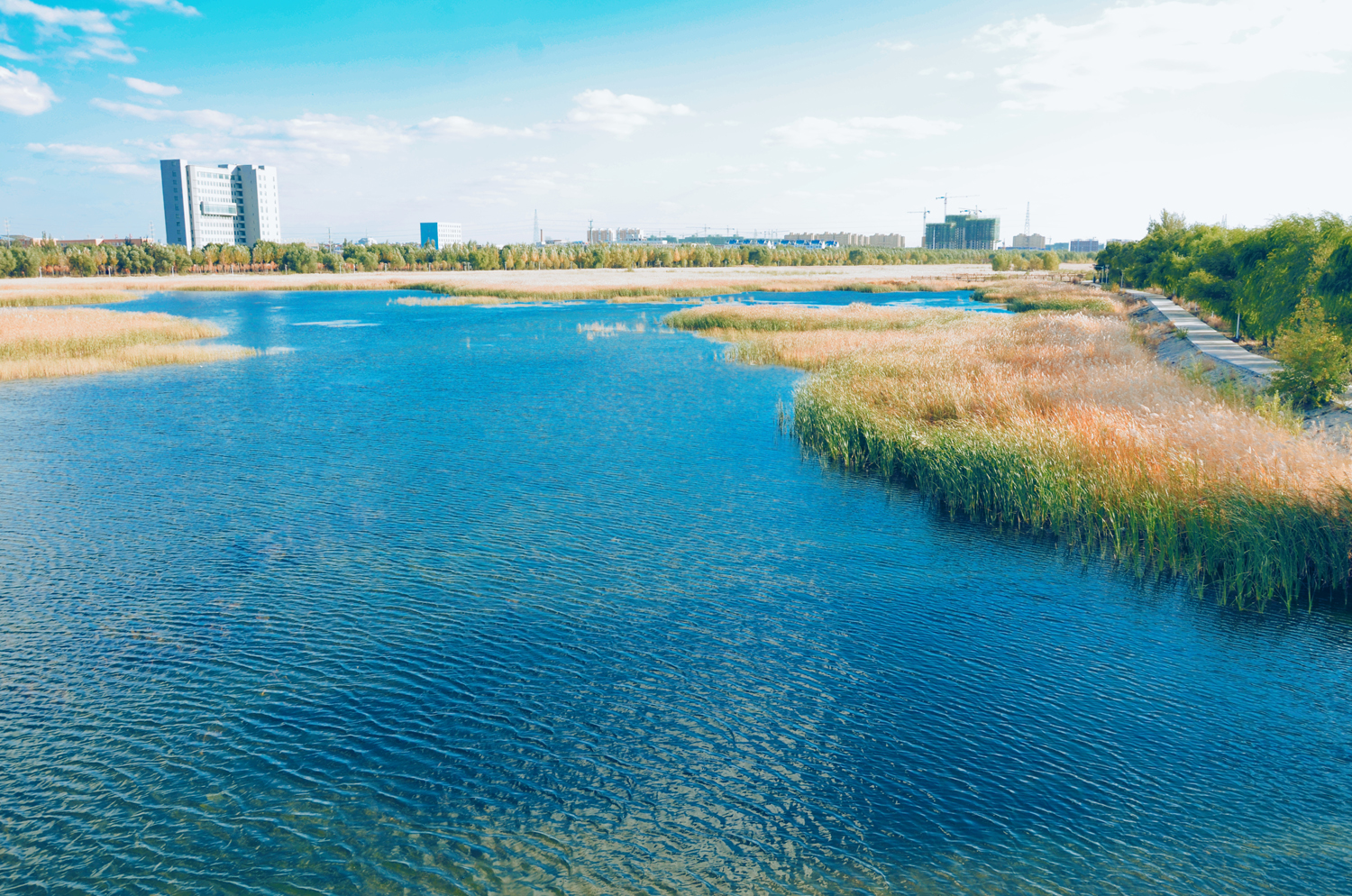 通辽市西辽河大桥及桥下风光原创摄影