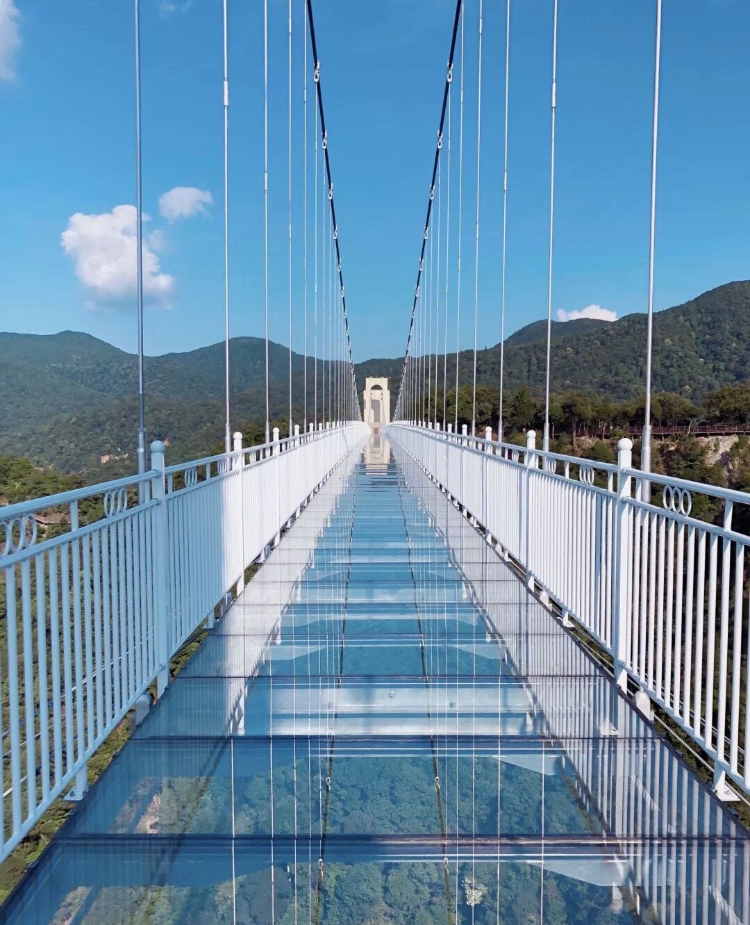 江西省 赣州市 三百山风景名胜区