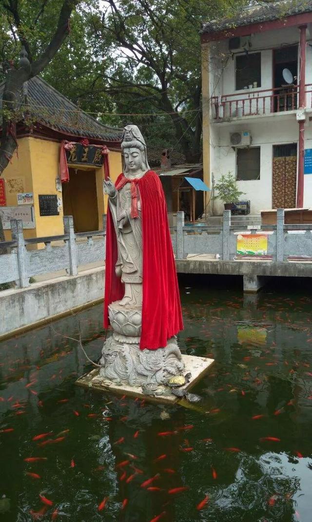 走进安徽萧县圣泉寺,游"江南第一泉——圣泉,品美食——全羊宴