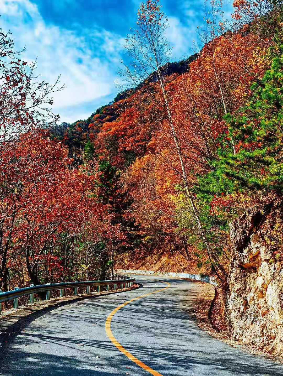秦岭120国道,深秋五彩斑驳的景色绝美