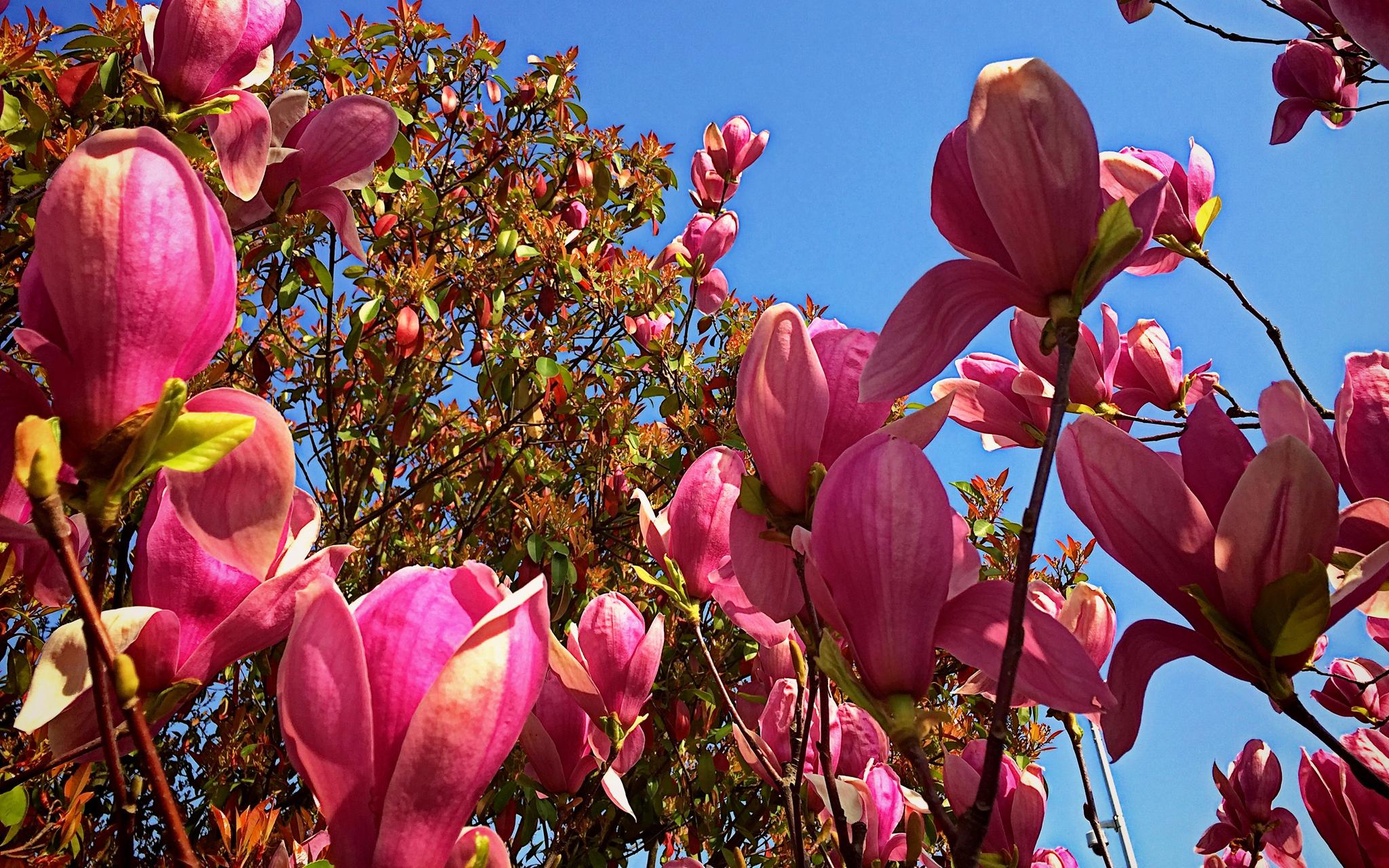 十堰印象:高大上美的武当山机场