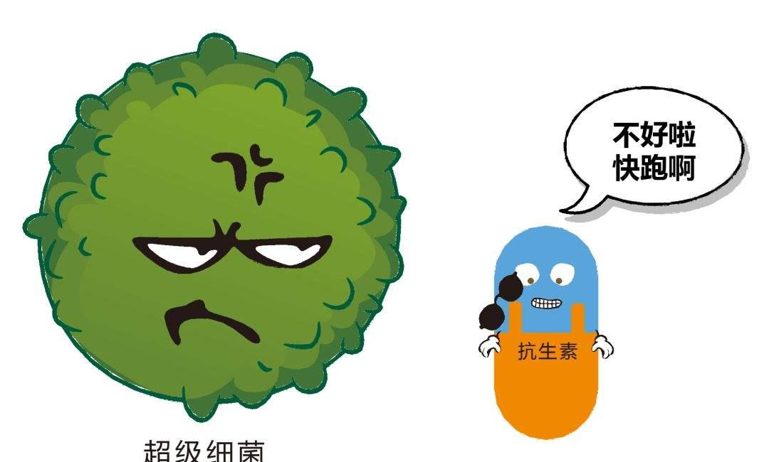 医院"飞虫"携带超级细菌?对多种抗生素的耐药率几乎达到20%