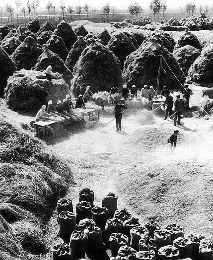 60年代河南农村老照片:生活虽苦,但是每个人都干劲十足!