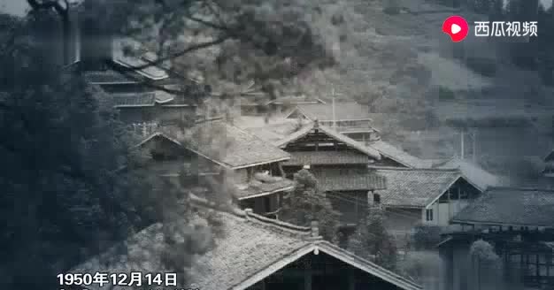 1950年12月14日号称十万大山的女匪首韦秀英被解放军剿灭_新浪新闻