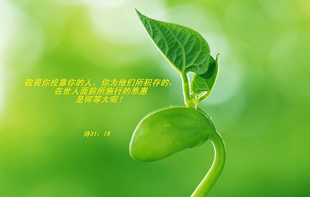 体贴圣灵丨基督徒属灵生命长进的必然经历