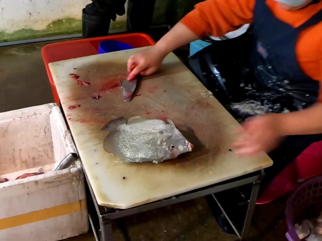 台湾渔港,劏大鸡笼鲳鱼