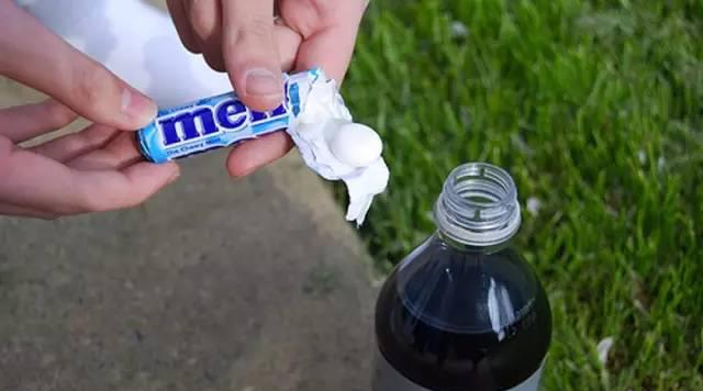 当一头鱼遇到碳酸饮料和曼妥思接下来这一幕让人久久不能平静