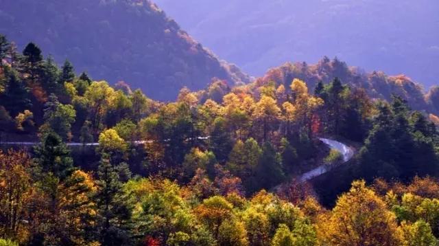安康这两处秋色入围"2019陕西最美秋色"