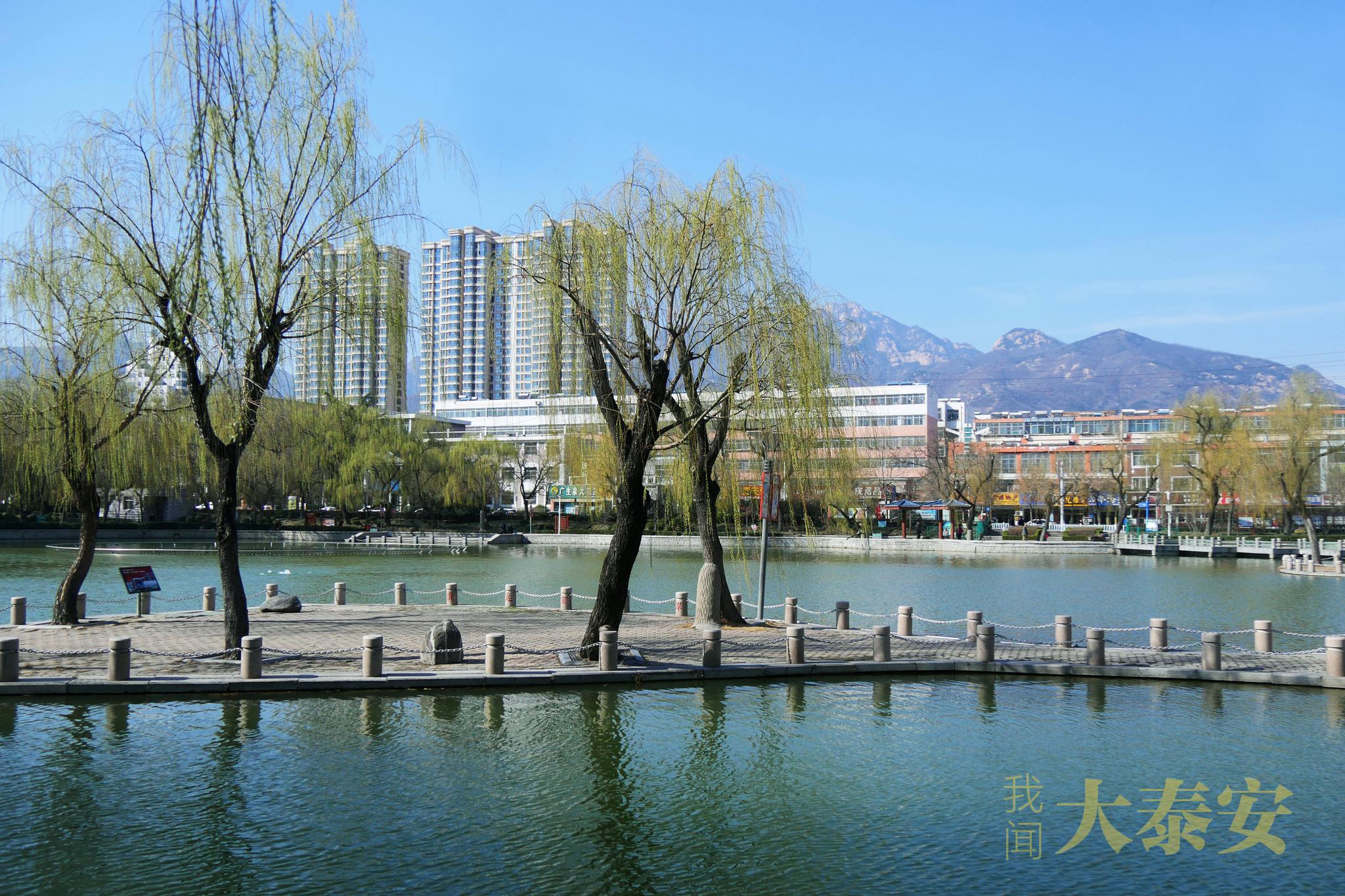 泰安东湖公园的春天来了|东湖公园|泰安_新浪新闻