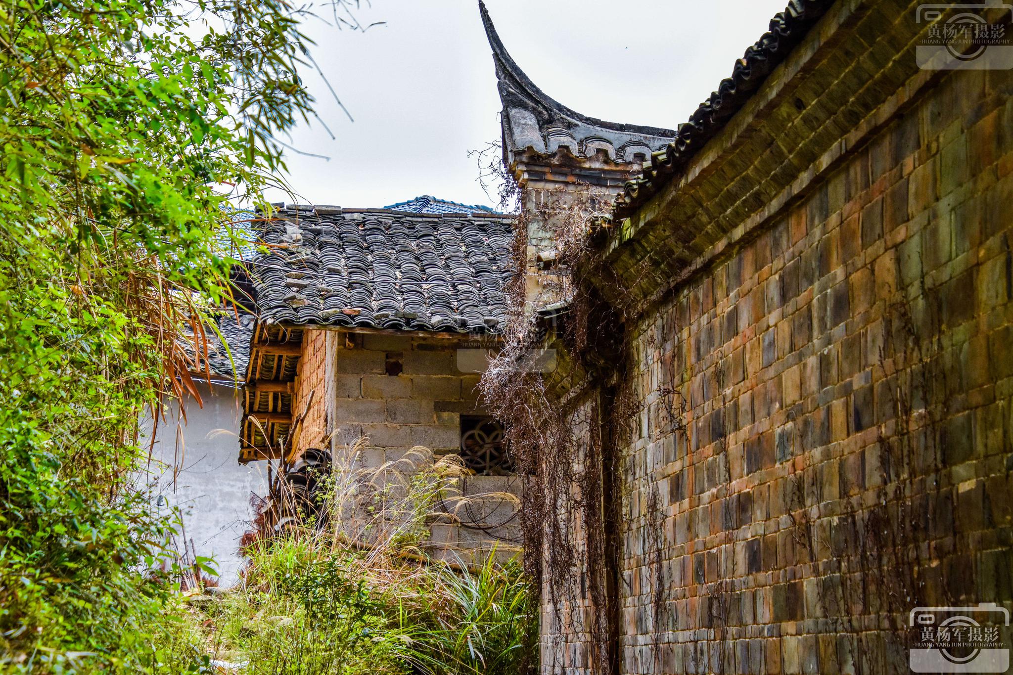 石城县大畲古村的乡村风光|石城县|古村|老屋_新浪新闻