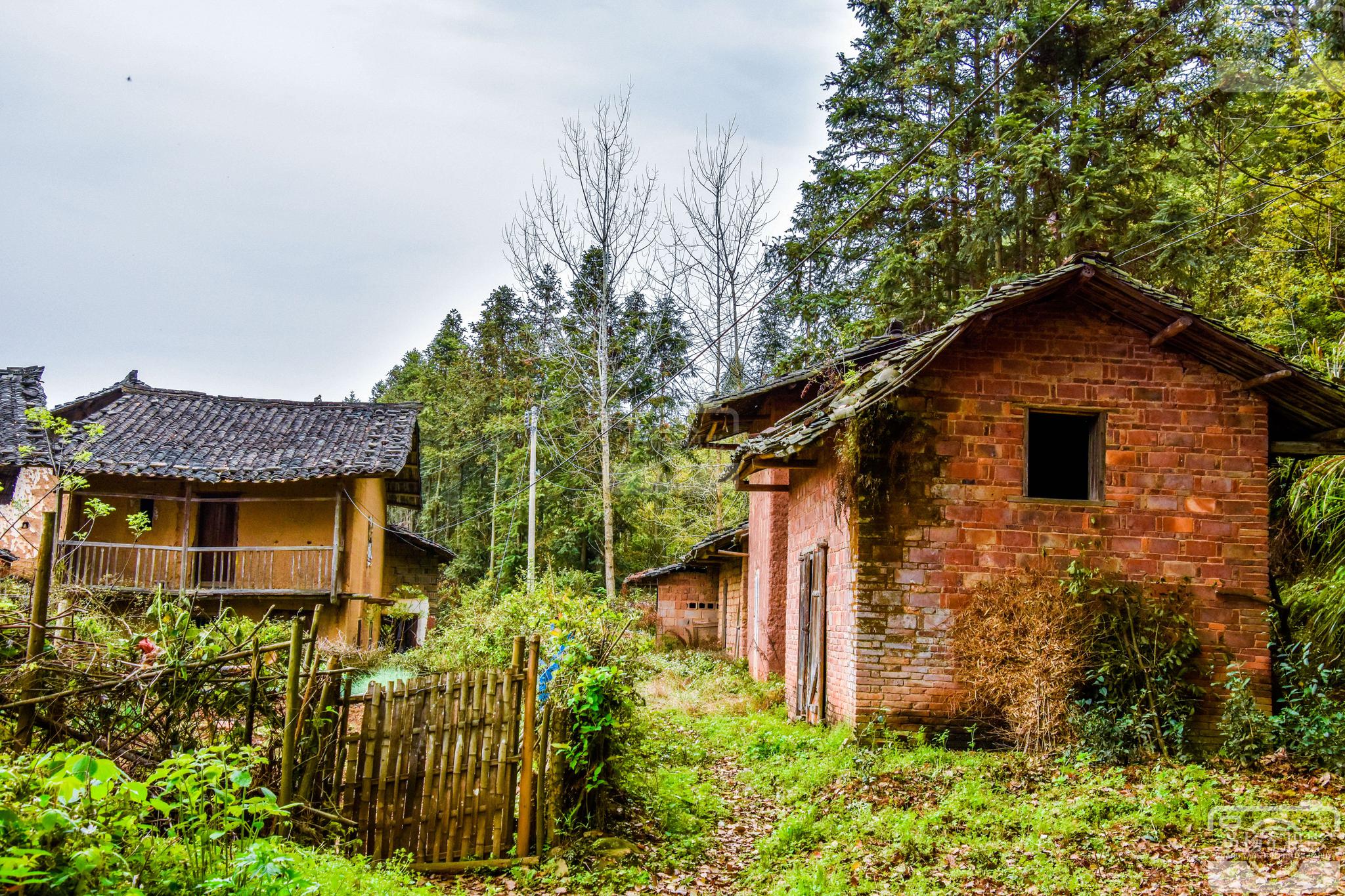 带大孙子的经验