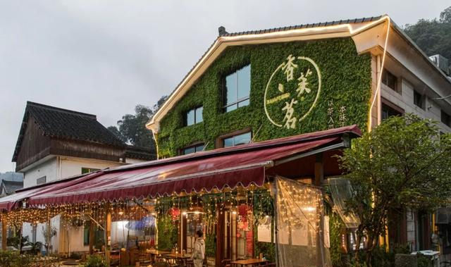 梅家坞的这家「茶楼」连郭京飞都来打卡