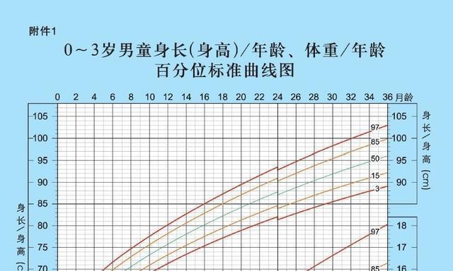 解密seo:搜索引擎优化与网站成功战略