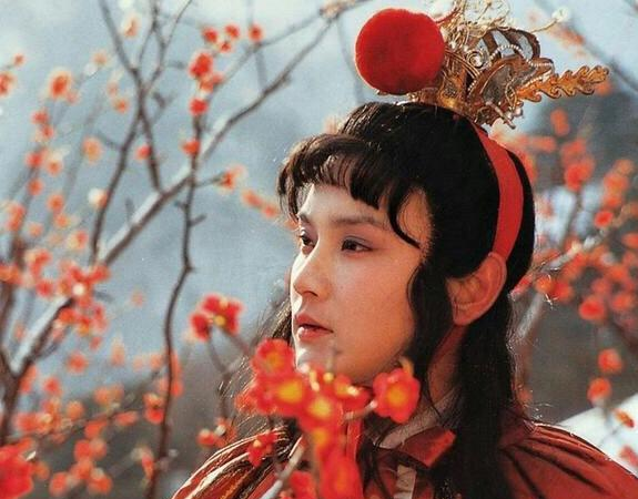 迎春为何只因五千两银子就被迫嫁给孙绍祖
