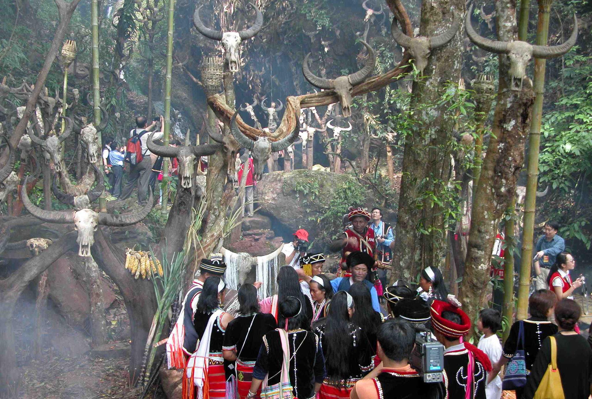 揭秘佤族真实照片,图3是被誉为非遗的甩发舞,图6是传统的新米节