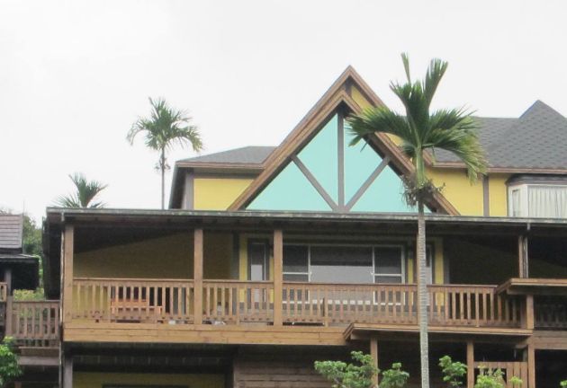 人字形木屋顶建筑村落:在富山县上平村和歧阜县白川村的历史村落_高清