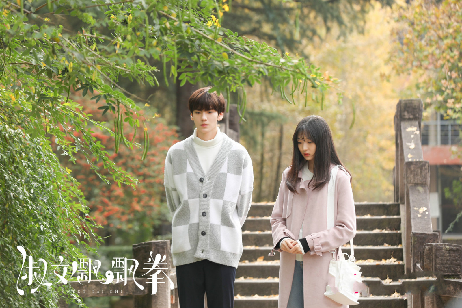 淑女飘飘拳首播毕雯珺孙千演技不足网改剧再添烂作品