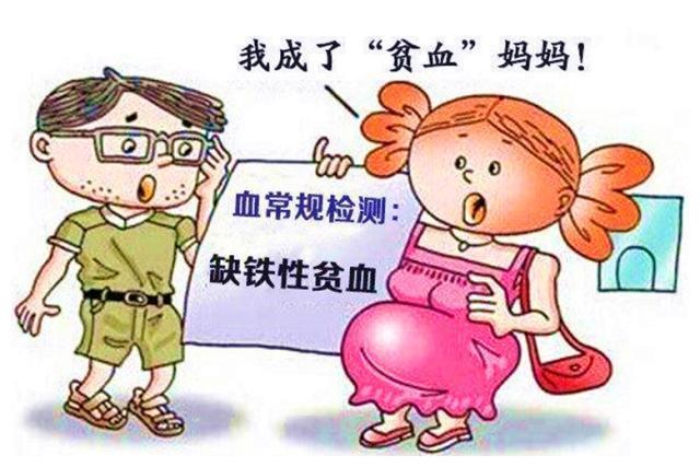 怀孕35周产检缺铁性贫血,适合孕妇补铁的食物有哪些?