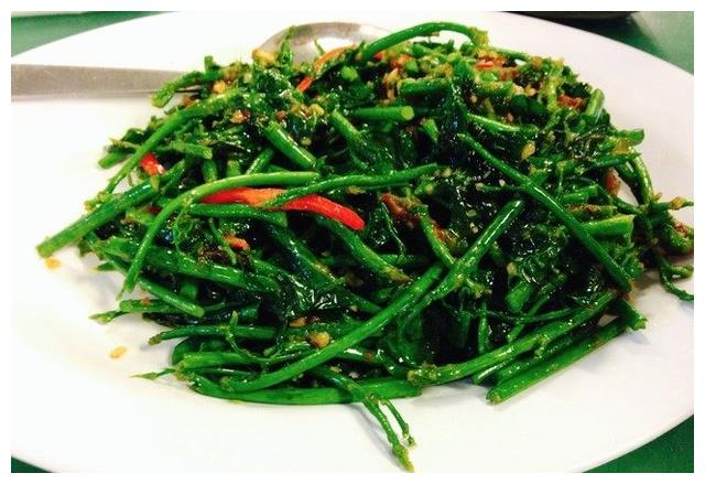 有吃过吗?农村里有一种菜三米高,不但美味而且营养|五指山|树仔菜|蒜茸_新浪新闻