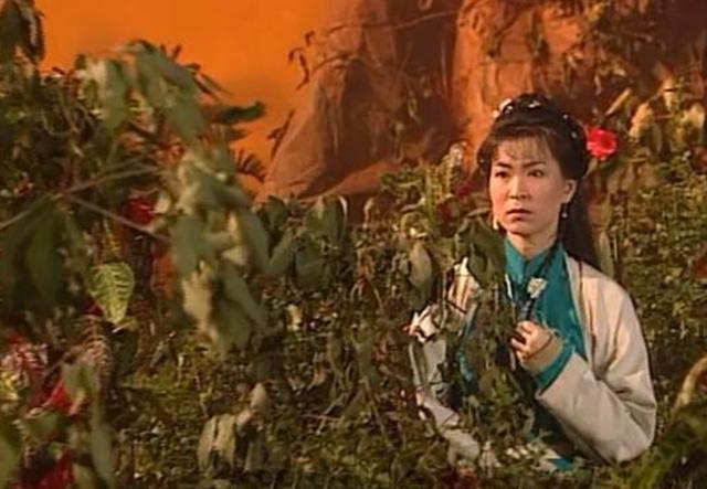 《神雕侠侣》公孙绿萼:爹不疼没娘爱,却善良如水,正直如山
