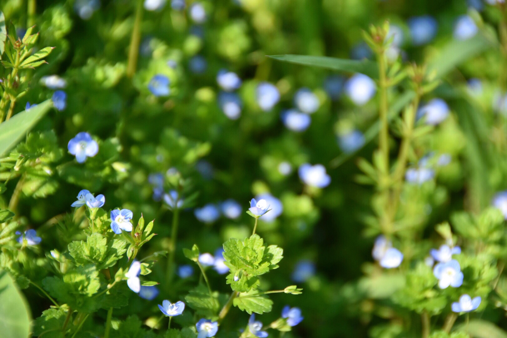 福州移动自动送料裁断机_源德机械_吸塑_吸塑包装盒_移动冲床