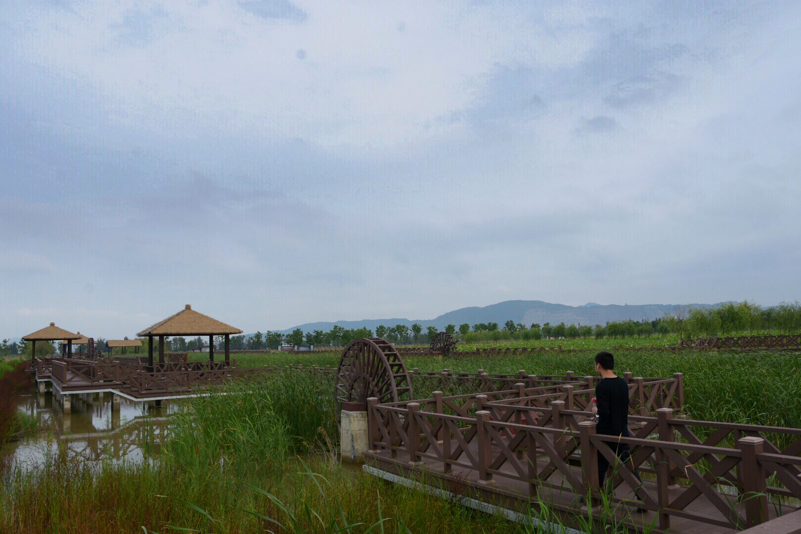 中国围垦工程中唯一的国家级水利风景区玉环漩门湾国家湿地公园