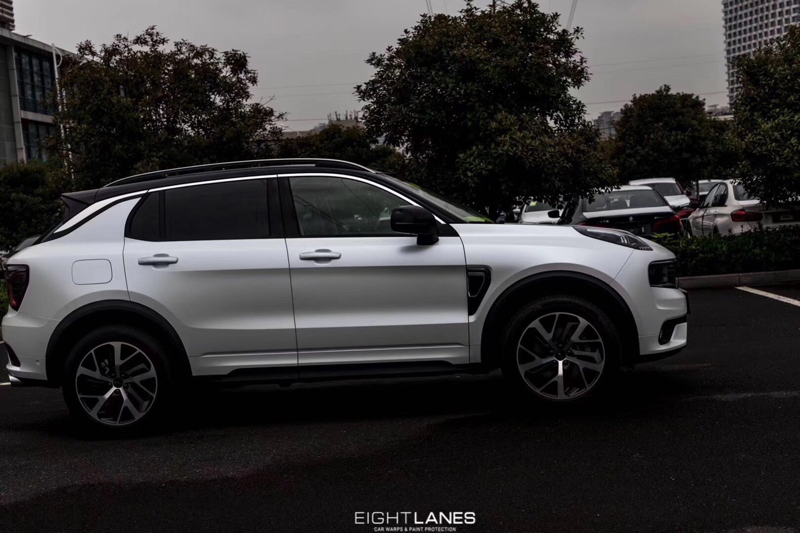 你是我心中的白莲花领克01改色电光白