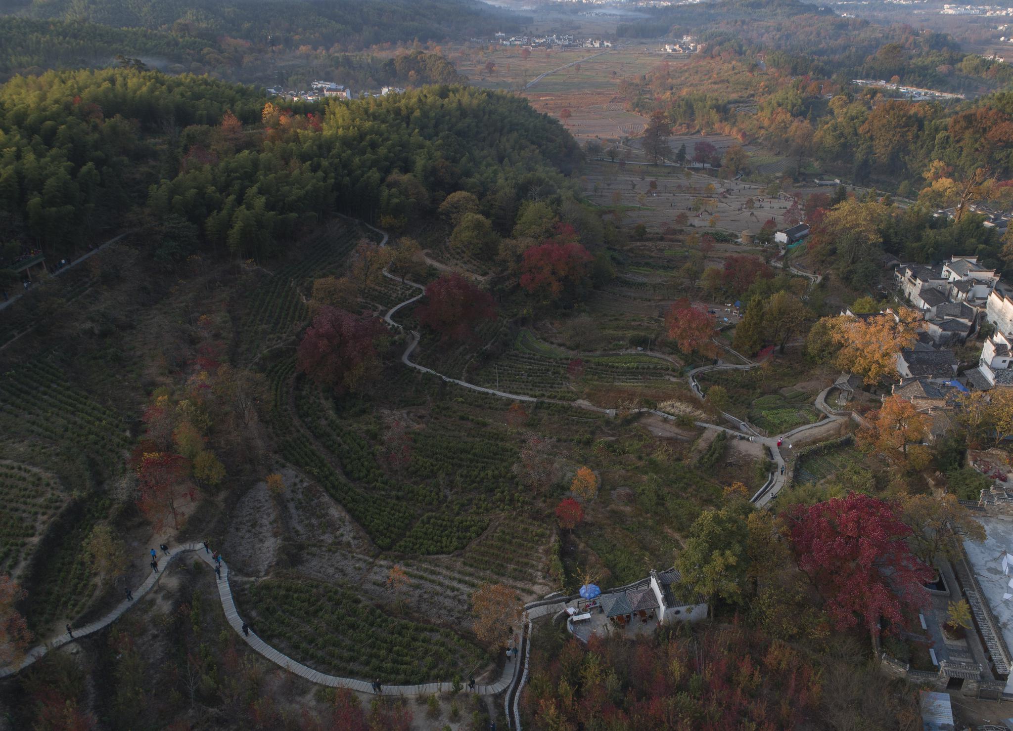 塔川一个靠近宏村，与九寨沟并称为中国最美秋色的，皖南古村落 - 知乎