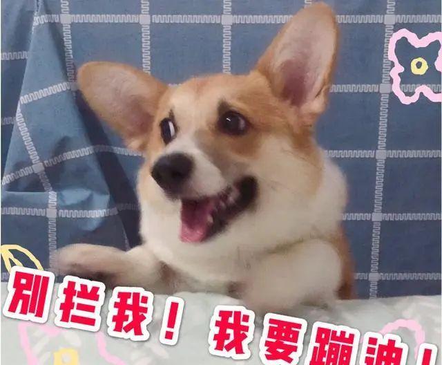 宅家快发霉这款自带节奏感的索尼音箱让你在家也能尽情蹦迪