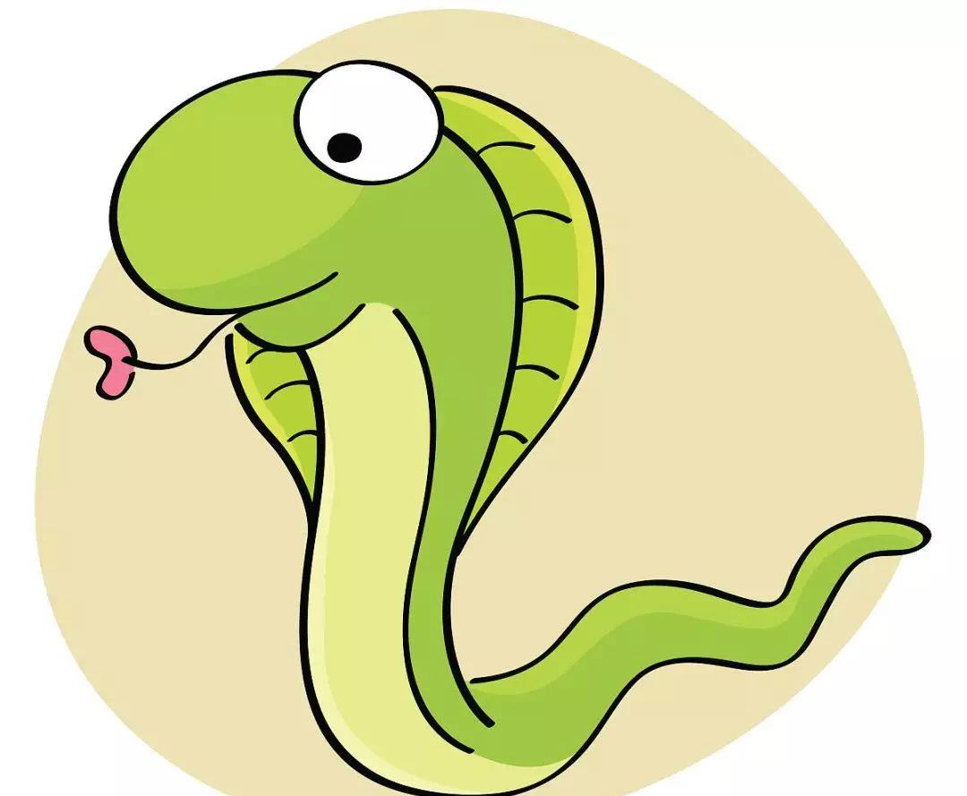 属蛇人2月哪方面的压力最大