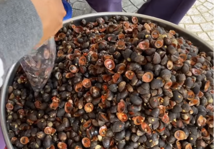 大叔起早贪黑卖它15元一斤以为是香螺眼尖的人全包圆了