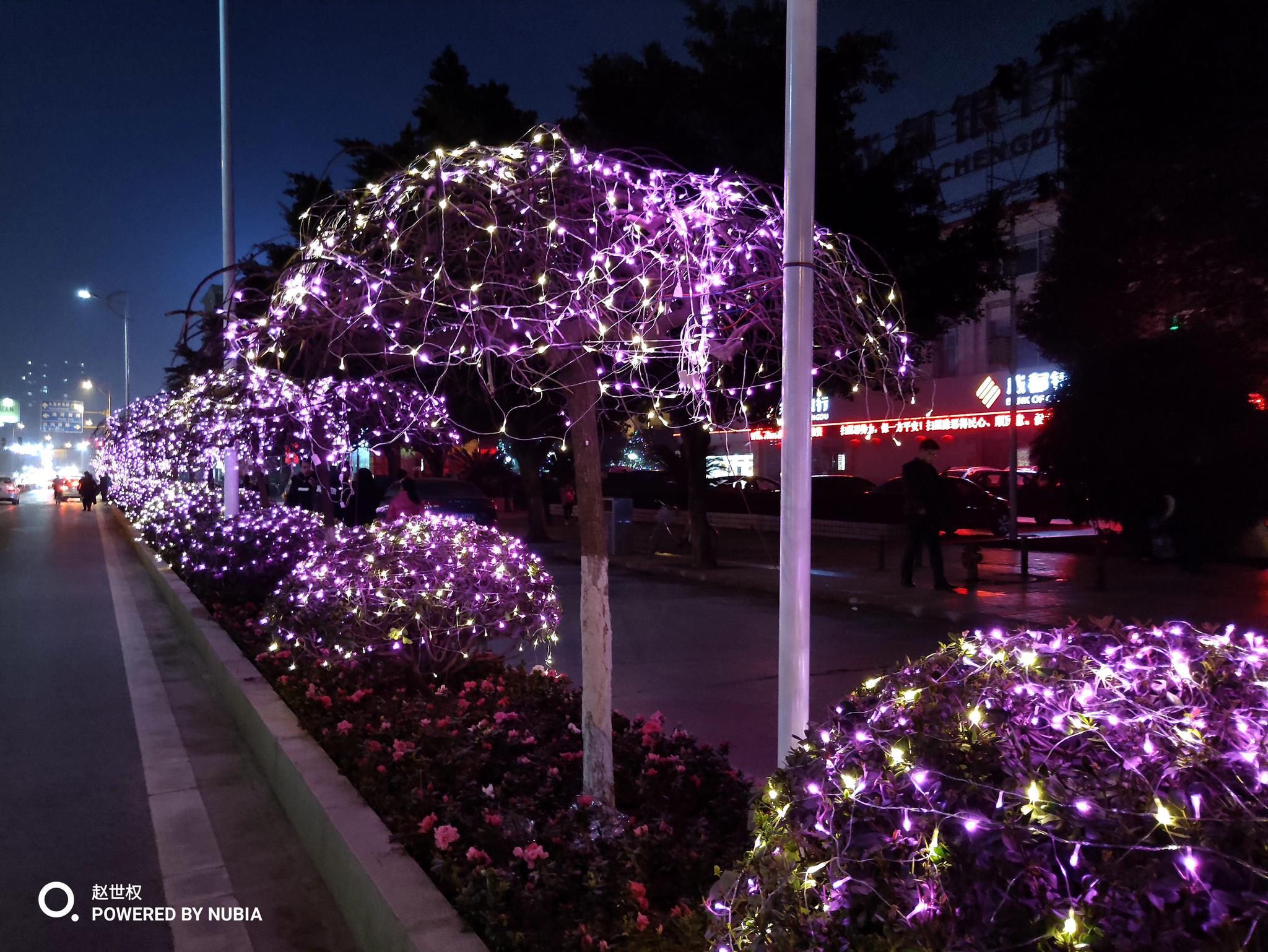 岳池彩灯照出新年的气息|岳池县|夜景|岳池_新浪新闻
