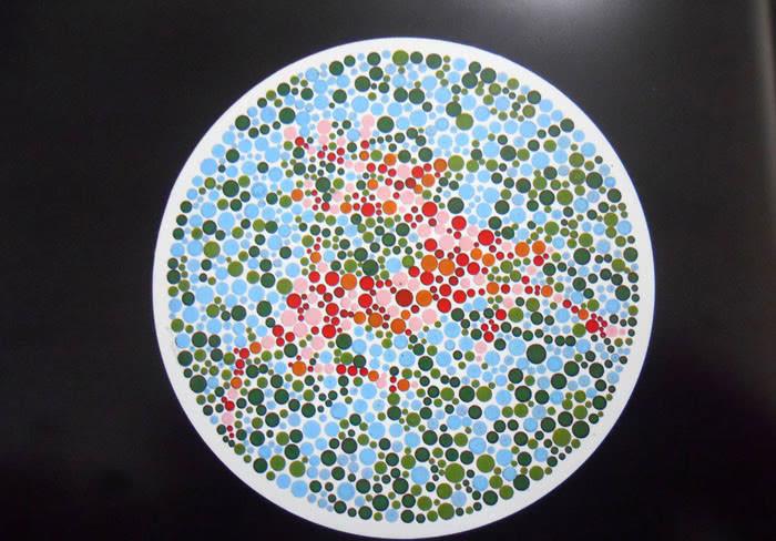 5张色盲色弱检测图马虎的人看第3张就有些费劲了