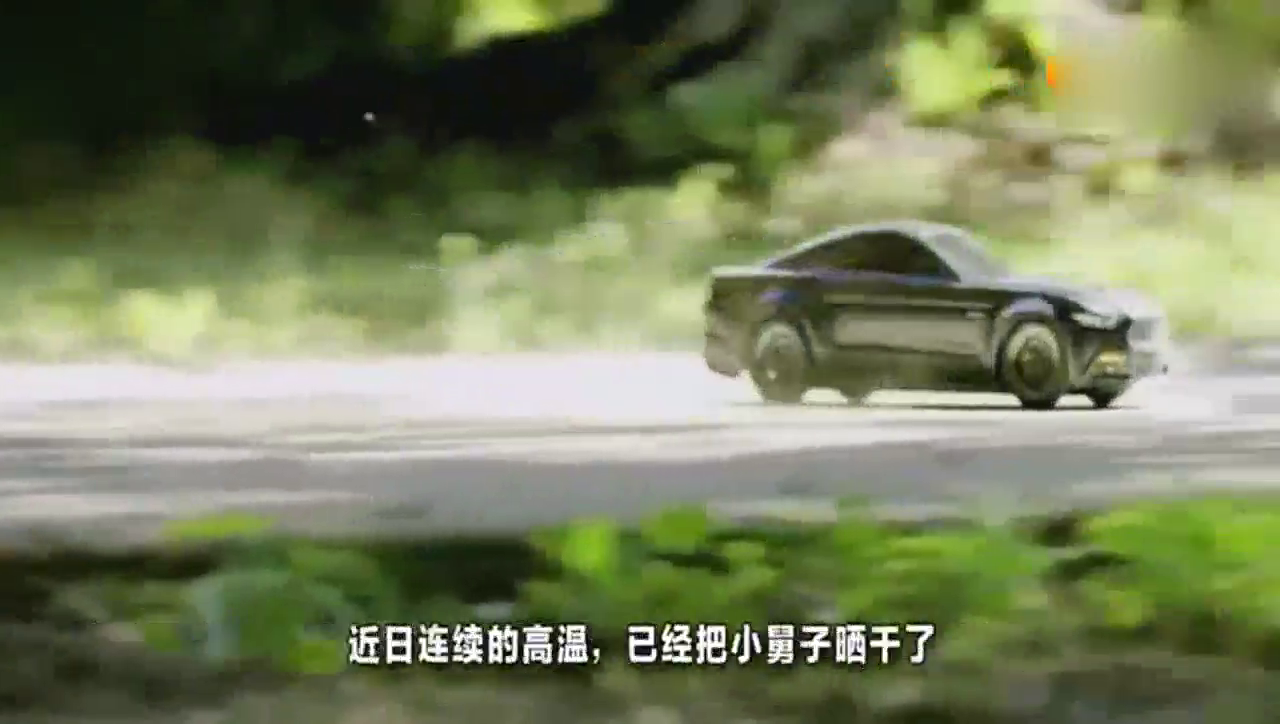 高温天里开车需要注意什么?新手司机一定要注