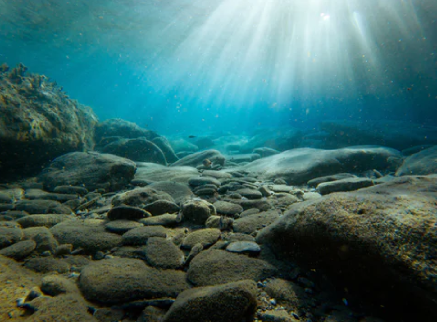 教你如何拍摄水下景物的照片