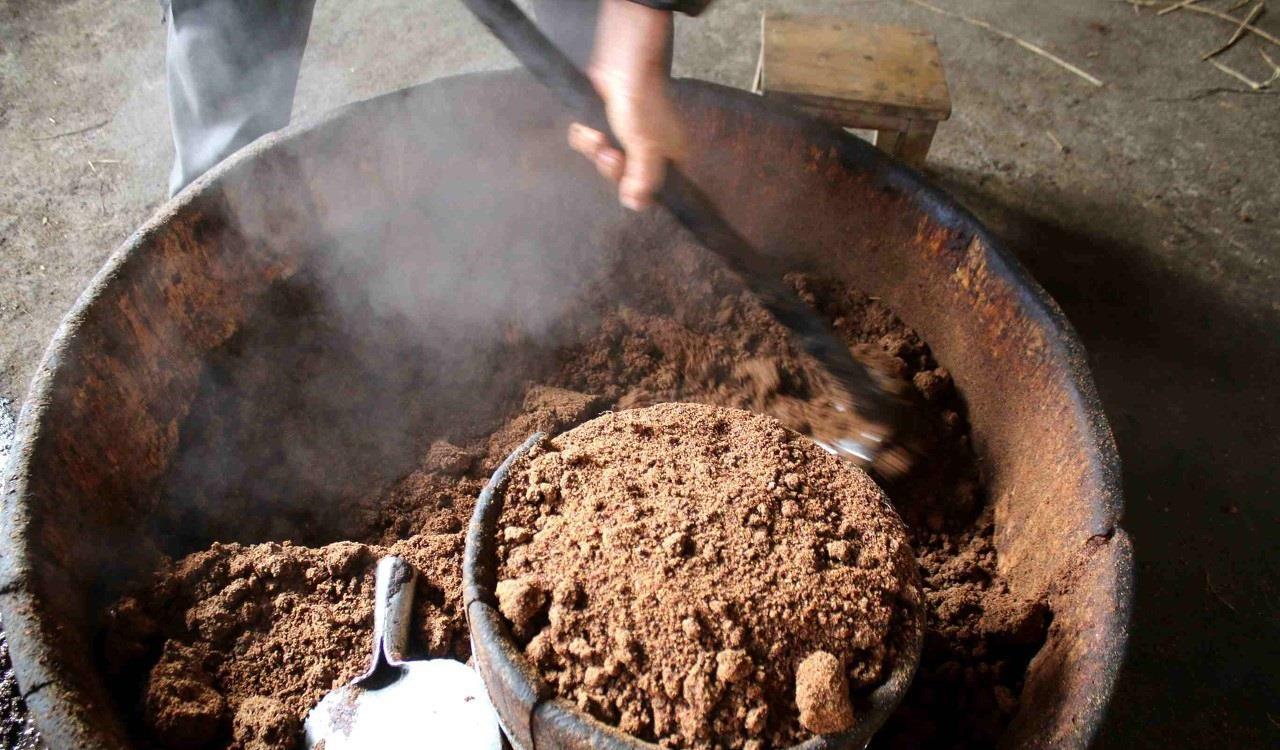 油茶树油果即将采收,一起了解下农村榨油过程