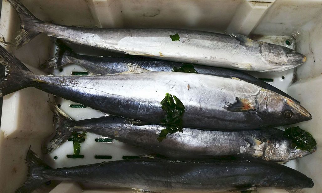 花盖蟹,40块钱一斤,围了不少市民在挑选购买.