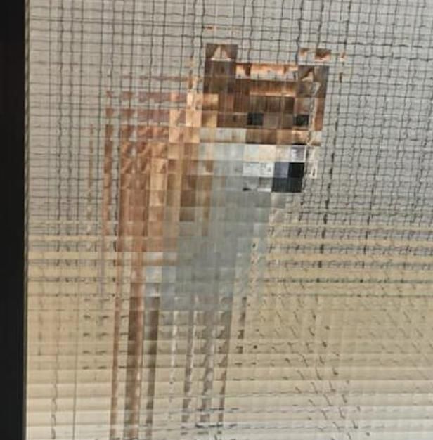 网友在上厕所,柴犬就站在门口透过玻璃门盯着看,这是马赛克柴?