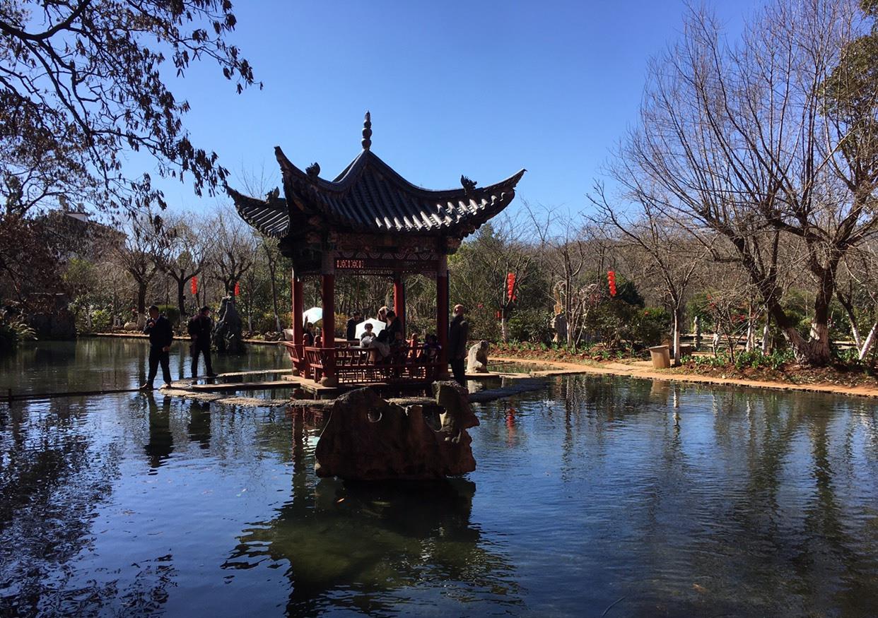 清幽雅致的丰泽源植物园|植物园|丰泽|昆明_新浪新闻