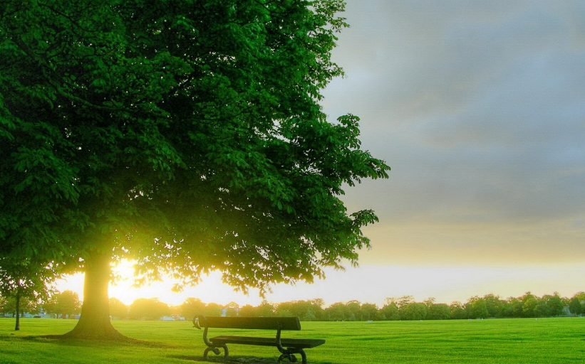 风景配图痛到心碎的伤感句子悲凉无助让人泣不成声