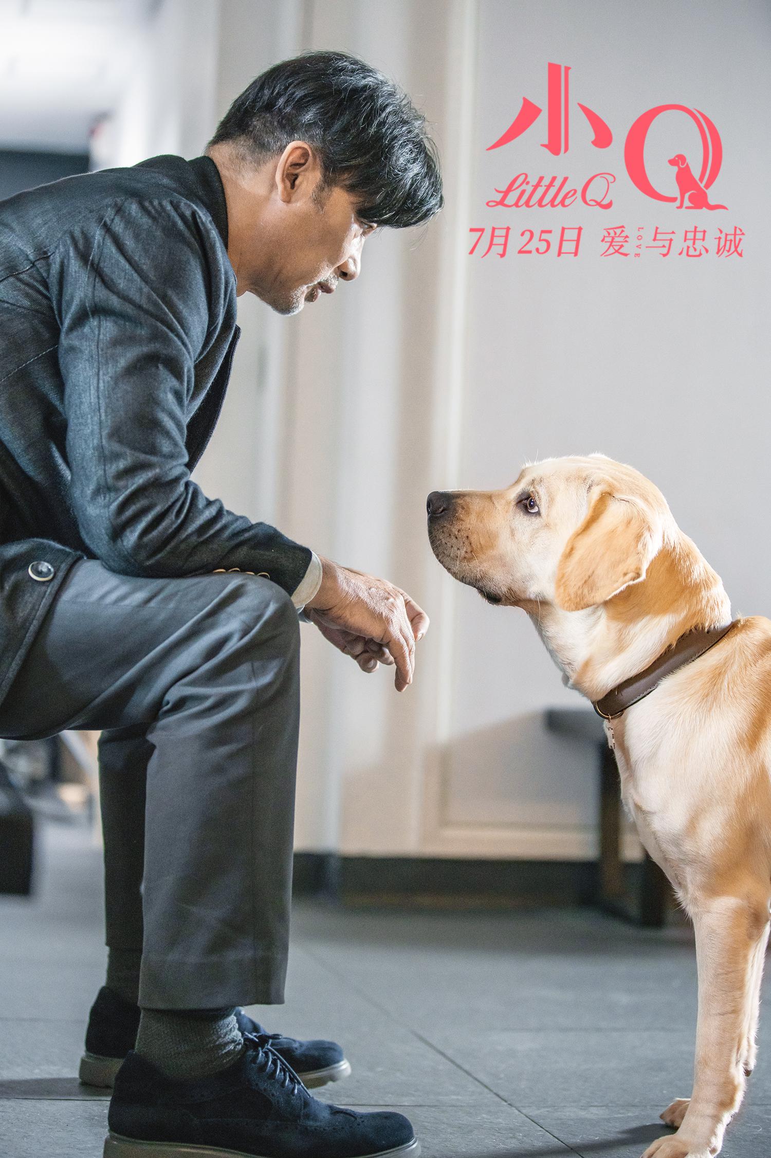 《小q》发终极预告海报 人犬情未了引爆新型合家欢