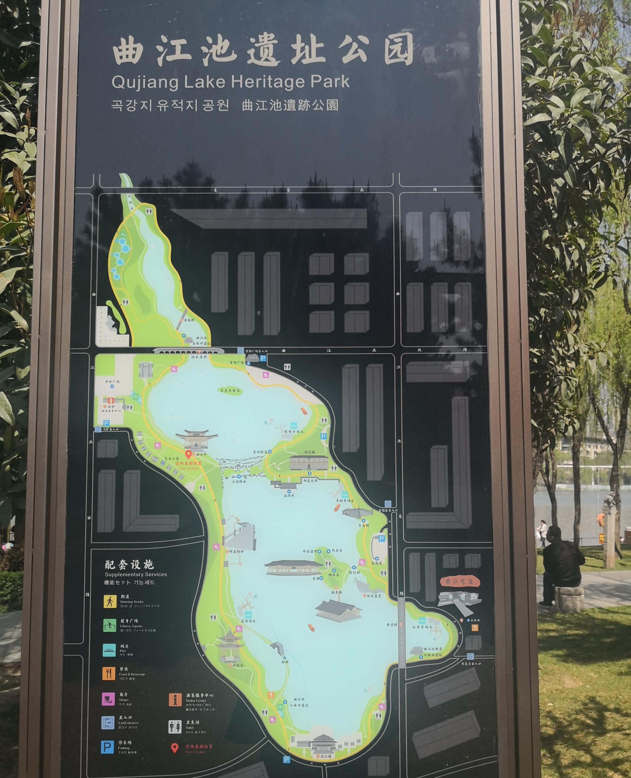 曲江池遗址公园春景
