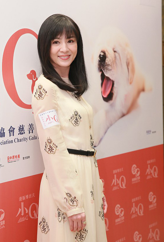 玉女同框!杨采妮清新淡雅梁咏琪露美腿|杨采妮|梁咏琪|美腿_新浪新闻