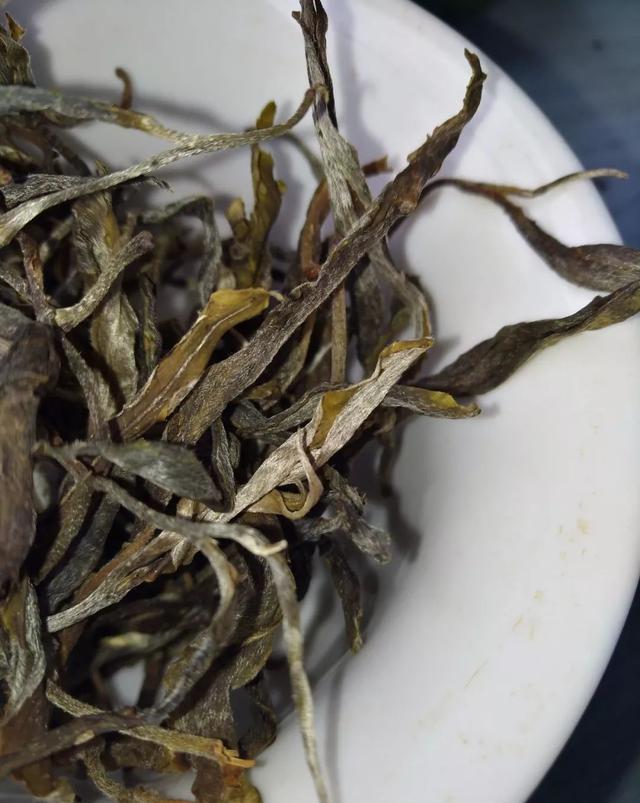 梅子箐古树茶