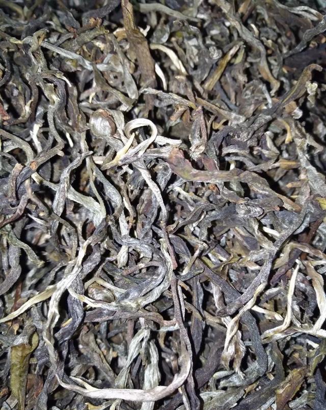 梅子箐古树茶