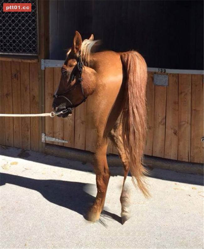 全景模式下拍摄失败的10张图,看起来恐怖又好笑