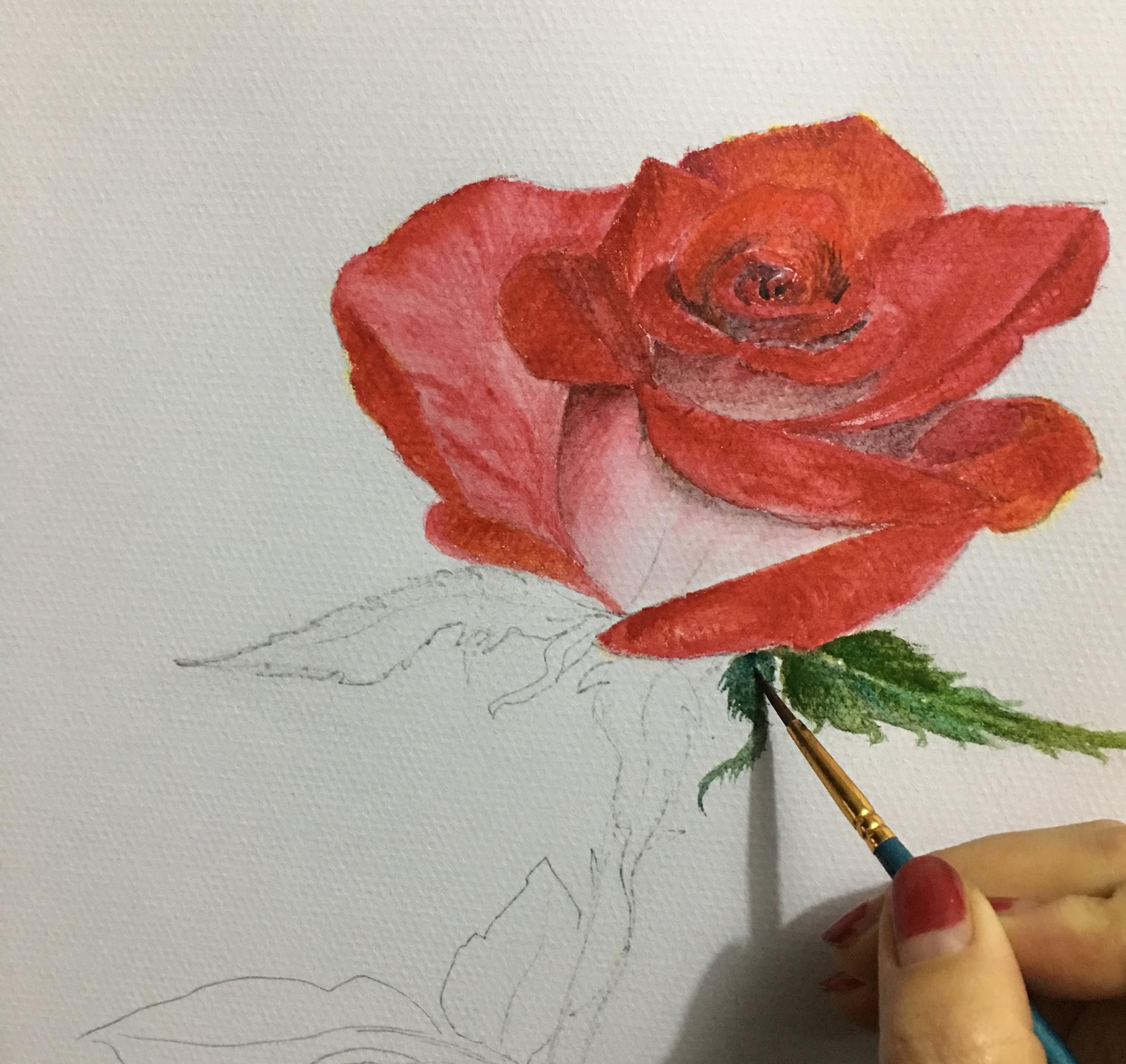 步骤详细,简单易学,非常适合初学者|花径|玫瑰花|花瓣_新浪新闻